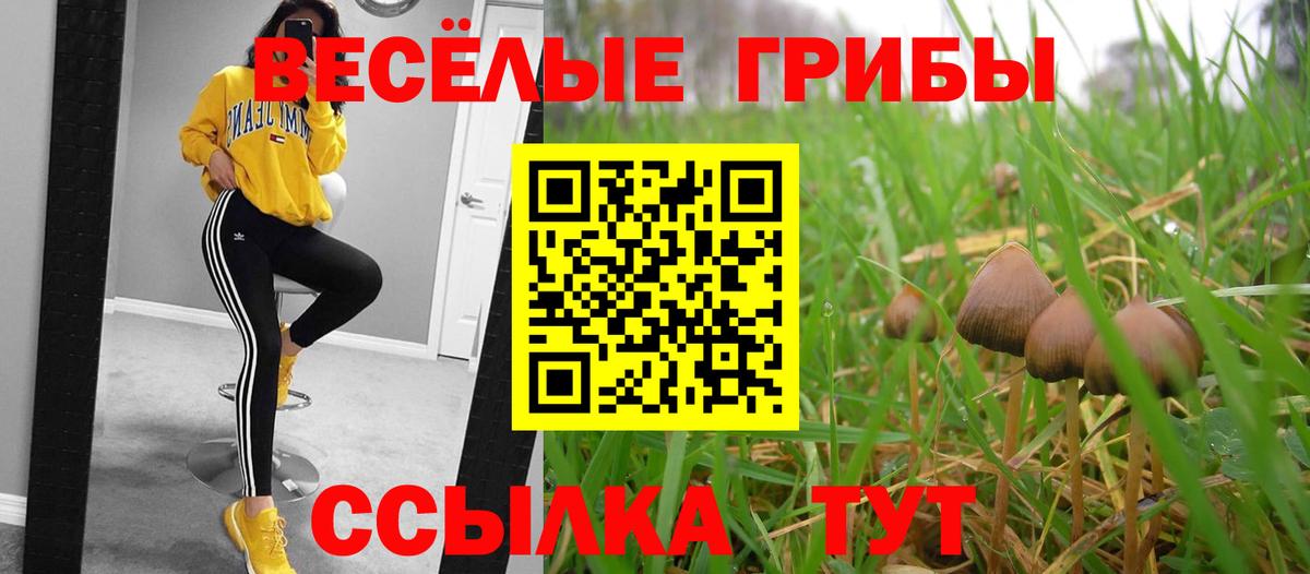Хасавюрт  Псилоцибиновые грибы MAGIC MUSHROOMS  Вход с VPN 